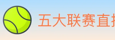 五大联赛直播 logo